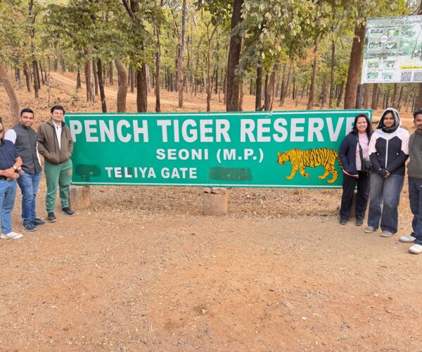 In the Footsteps of the Invisible Stripes: A Journey into the Land of Mowgli